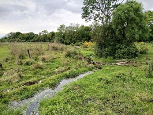 Foto - andere zur Miete in Schöppenstedt