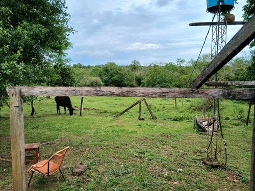 Foto - andere in Schöppenstedt