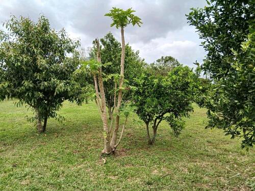 Foto - andere in Schöppenstedt zur Miete