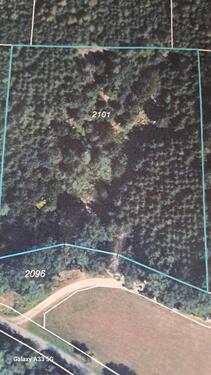 Foto - Waldgrundstück - 15.000,00&nbsp;EUR Kaufpreis, ca.&nbsp; 7.267,00&nbsp;m&sup2;