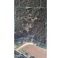 Waldgrundstück - 15.000,00&nbsp;EUR Kaufpreis, ca.&nbsp; 7.267,00&nbsp;m&sup2; in Stödtlen (PLZ: 73495)