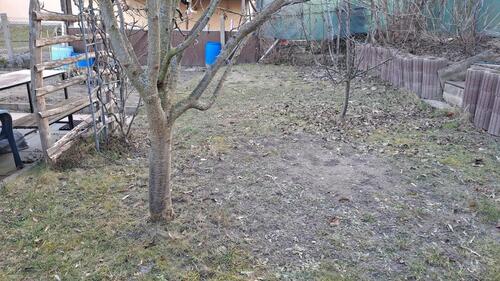 Foto - 