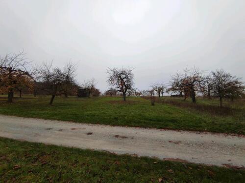 Foto - Grundst&uuml;ck in Erligheim