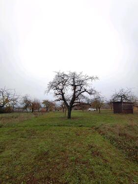 Foto - Grundst&uuml;ck in Erligheim zur Miete
