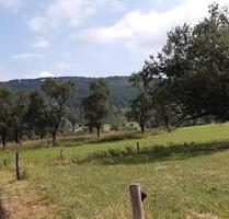 Wochenendhaus mit unverbautem Blick auf die Reinsberge - Plaue