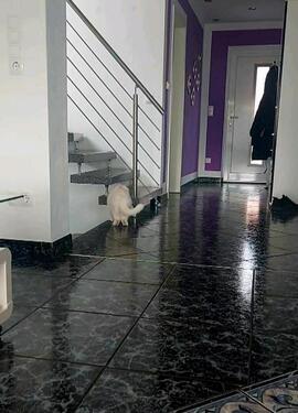 Foto - Einfamilienhaus in Ebern zum Kaufen