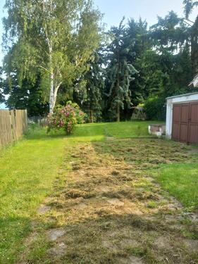 Foto - Reihenhaus zum Kaufen in Eisleben (Lutherstadt)