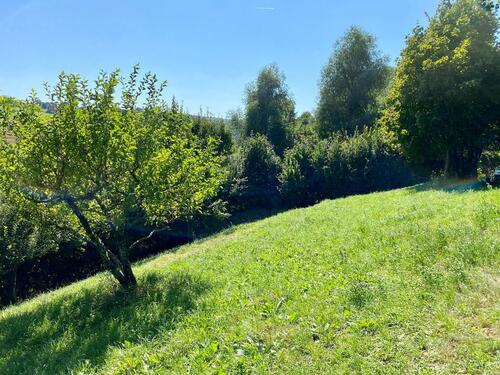 Foto - Gartengrundstück mit Hütte in Aalen – Panorama-Südhanglage