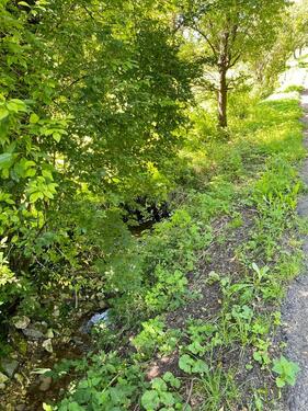 Foto - Grundst&uuml;ck in Aalen