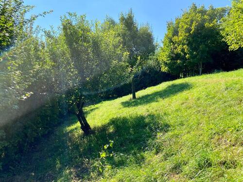 Foto - Grundst&uuml;ck in Aalen zur Miete