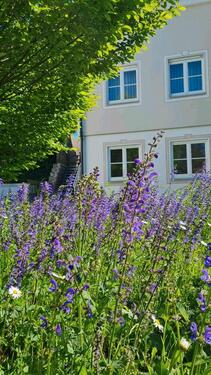 Foto - Einfamilienhaus - 880.000,00&nbsp;EUR Kaufpreis, ca.&nbsp; 244,00&nbsp;m&sup2;