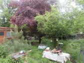 Foto - 5 Zimmer Einfamilienhaus in München