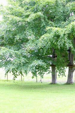 Foto - 1 Zimmer Etagenwohnung in Gettorf