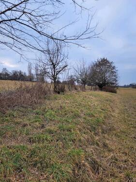 Foto - Grundst&uuml;ck in Besigheim