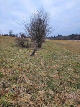 Foto - Grundst&uuml;ck in Besigheim zur Miete