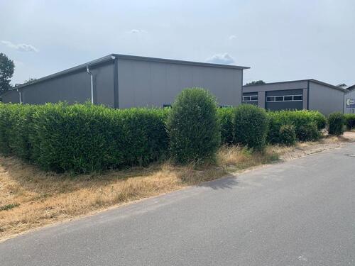 Foto - andere in Lorup
