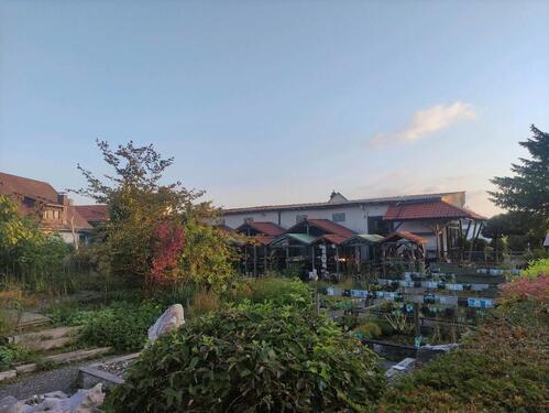 Foto - Einfamilienhaus in Immenhausen