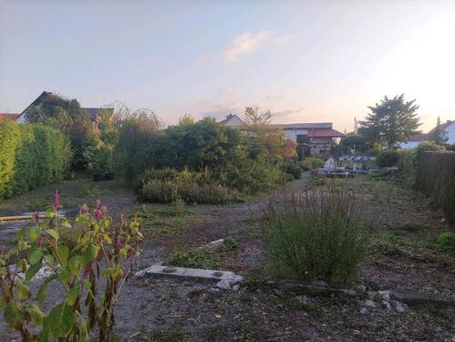 Foto - Einfamilienhaus in Immenhausen zum Kaufen