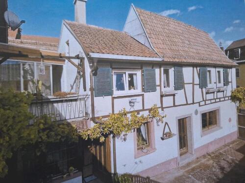 Foto - 8 Zimmer Einfamilienhaus zum Kaufen in Landau in der Pfalz