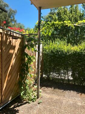 Foto - 1 Zimmer Etagenwohnung zur Miete in Hof