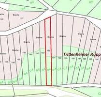 Grundstück, Weinbau , 54349 , Trittenheim , Ratenzahlung möglich