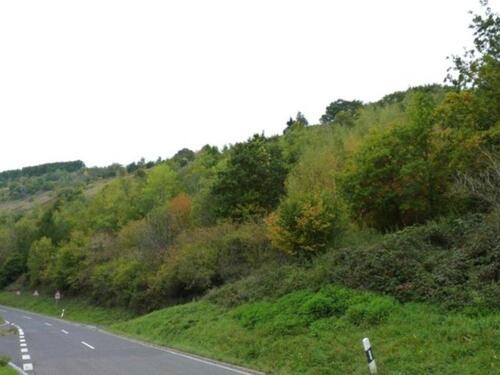 Foto - Grundst&uuml;ck in Trittenheim zur Miete