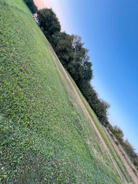 Foto - Ackerland zwischen Neuffen und Linsenhofen