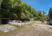 Foto - 7 Zimmer Einfamilienhaus zum Kaufen in Laufen