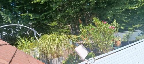 Foto - Maisonette DG Wohnung - 200.000,00&nbsp;EUR Kaufpreis, ca.&nbsp; 77,00&nbsp;m&sup2;