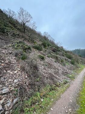 Foto - Grundst&uuml;ck zur Miete in Bruttig-Fankel