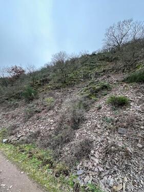 Foto - Grundst&uuml;ck in Bruttig-Fankel zur Miete