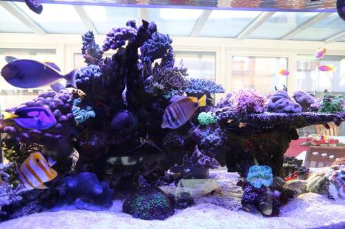 Foto - 1 Zimmer Etagenwohnung in Berlin