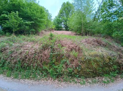 Foto - Idyllisch & Naturbelassen: Waldgrundstück nahe Baden-Baden