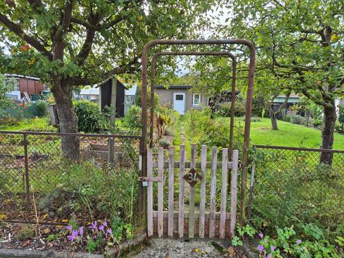 Foto - Garten 'Anlage Schutow' in Reutershagen abzugeben