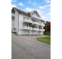 Modern renovierte Wohnung (2022) mit traumhafter Aussicht - Lottstetten