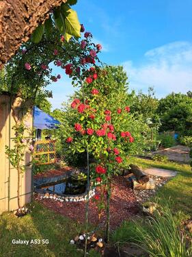 Foto - Kleingarten - 1.500,00 EUR Kaltmiete, ca.  0,00 m²