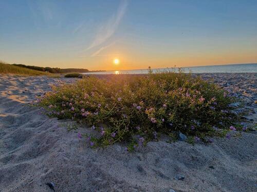 Foto - andere zur Miete in Oldenburg in Holstein