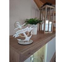 Sommer in Zingst - 280,00&nbsp;EUR Kaltmiete, in Nossen (PLZ: 01683)