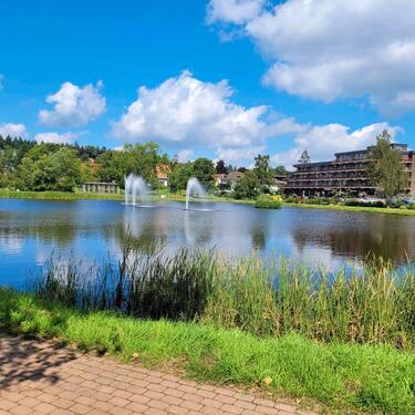 Foto - Weihnachten im Harz - Familienurlaub