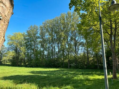 Foto - Wiese Weide Unterstand Pferdekoppel zu verpachten
