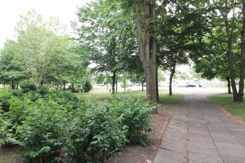 Foto - Etagenwohnung in Schwerin zur Miete