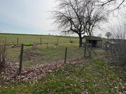 Foto - 6 Zimmer Etagenwohnung zur Miete in Hüllhorst