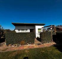 Euer Platz zum Aufblühen: Kleingarten in der KGA Greif - Papendorf