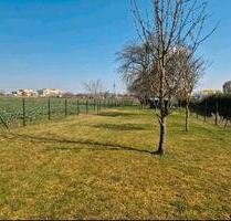 Grundstück Garten zu verpachten Fellbach