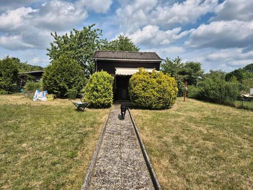 Foto - Grundstück zur Miete in Müden (Aller)