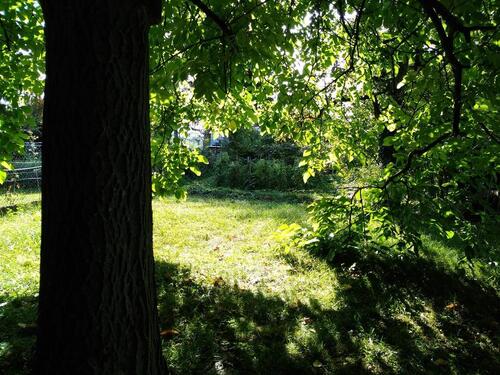 Foto - Schrebergarten zu Verpachten - 100,00&nbsp;EUR Kaltmiete, ca.&nbsp; 0,00&nbsp;m&sup2;