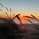 Foto - NEU Ferienwohnung Appartement Damp Ostsee direkt am Meer Strand