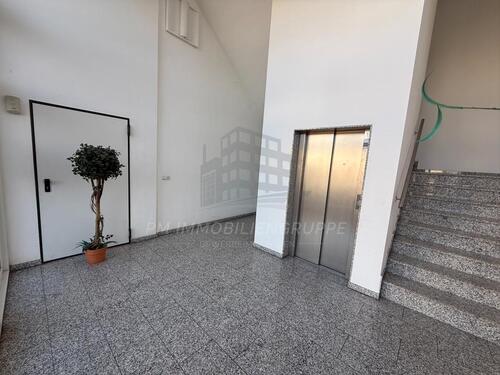 Foto - andere in Köln zur Miete