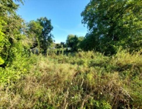 Foto - Idylisches Baumstück - 100,00&nbsp;EUR Kaltmiete, ca.&nbsp; 0,00&nbsp;m&sup2;