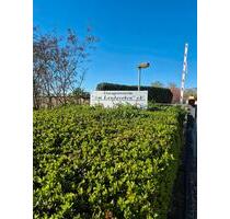 Garage am Landgraben Schwedt - 1.500,00&nbsp;EUR Miete, in Schwedt (Oder) (PLZ: 16303)